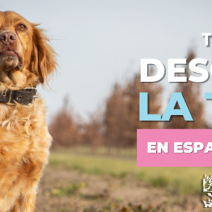 Visita Trufera + Entrada TRUFAR 5ª Edicion