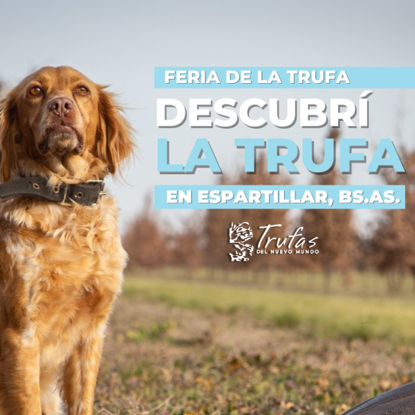 Visita Trufera - Feria de la trufa